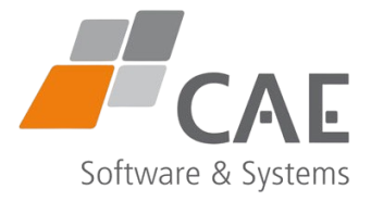 CAE Software & Systems